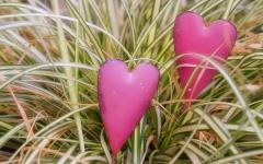 �w�D�������x�́w�Ώ��@�x�̃T���l�C���摜