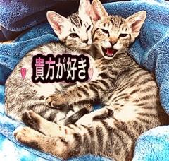 �q���̍��̎����ɒ���7.30���̂̃T���l�C���摜