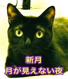 �X�s�[�h�I�����̐肢�J�n�I6.29���̂̃T���l�C���摜
