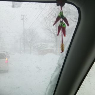 ����͑��̒����o�����̃T���l�C���摜