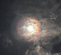 ����̏�̕���̃T���l�C���摜