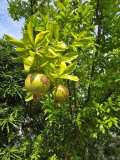 �W��21���@�����^�̃T���l�C���摜