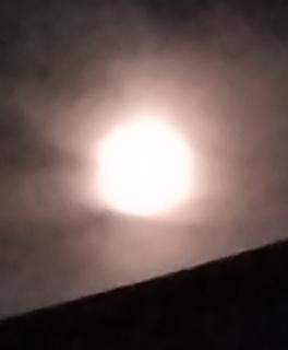 �����̖����ɂ��Ȃ��𓘂�̃T���l�C���摜