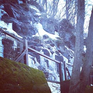 �u�X���v�������m�ł��傤���H�̃T���l�C���摜