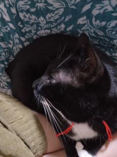 ���Ȃ��̗D�����Ǝ���ϊ����̃T���l�C���摜