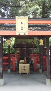 �F��아��[�߂Ă��܂����̃T���l�C���摜