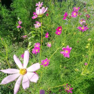 �F�l�̂��������F���Ă���܂��̃T���l�C���摜