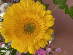 �y�X���\�����m��B�z�̃T���l�C���摜