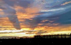 ��肭�����Ȃ������ẴT���l�C���摜