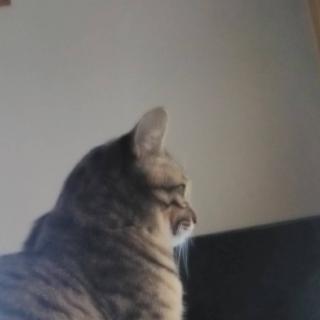 2022�N��U��Ԃ�܂��傤�I�̃T���l�C���摜