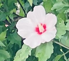 �����͐T�d��R4.7.10���̂̃T���l�C���摜