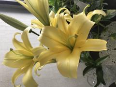 ���̂��Ƃ�ނ͂ǂ��v���Ă܂����H�̃T���l�C���摜