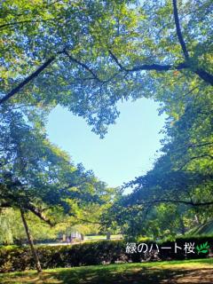 �n�[�g�� �ΐF�o�[�W�����̉摜�ł��I^^�̃T���l�C���摜