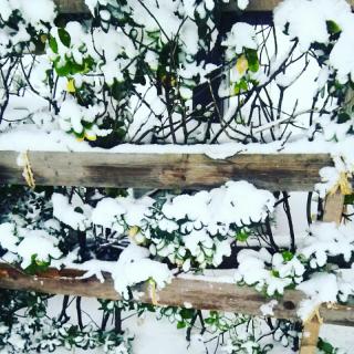 ��Ⴊ�����[�̃T���l�C���摜