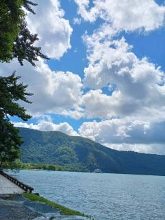 �p���[�X�|�b�g�\�a�c�΁I�̃T���l�C���摜