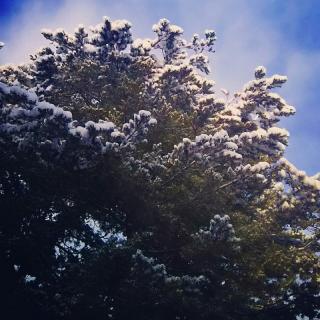 �������芦�X�����Ȃ�܂����B�̃T���l�C���摜