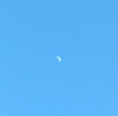 ���Ԃ̂������܂̃L���L���̃T���l�C���摜