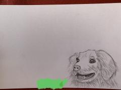 ����ɂ��͂̃T���l�C���摜