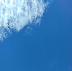 ���̋L���͂̃T���l�C���摜