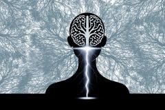 �S�E�́E�����ʂ̕s���̍����͂ǂ��ɂ���H�̃T���l�C���摜