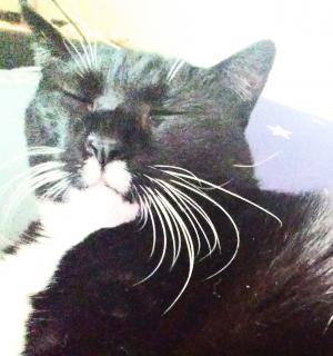 6���͏\�ܖ邳��7���͖�������̃T���l�C���摜