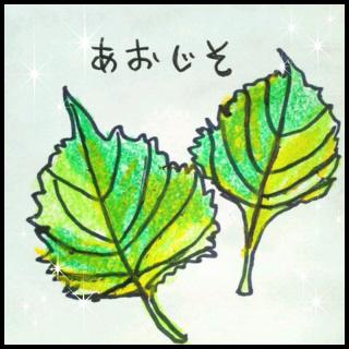 �p�N�`�[�E�V�����c�@�C�E�R���A���_�[�̃T���l�C���摜