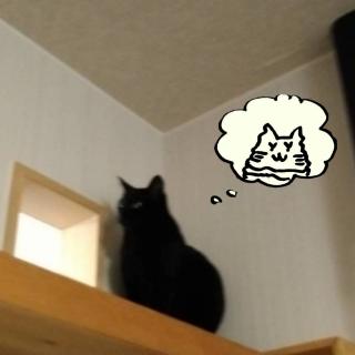 ���C���^��ꂽ��((((�G߄D�))))�̃T���l�C���摜