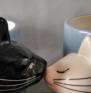 ���̌q���肪�c�̃T���l�C���摜