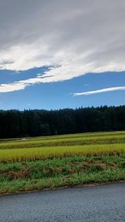 �����w�͂����点����@�̃T���l�C���摜