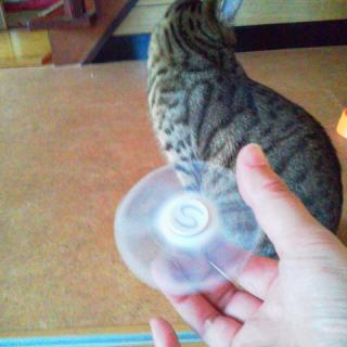 ����ȂƂ���Ƀn���h�X�s�i�[�̃T���l�C���摜