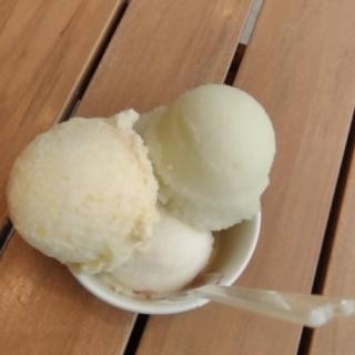 �J�G���Ƒ��������b�i���T���j�̎G�k��j�̃T���l�C���摜