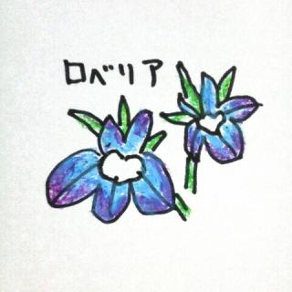 �����͂Ȃ�̓��@�ӂ��Ӂ[�̃T���l�C���摜