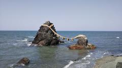 �v�w��̃T���l�C���摜