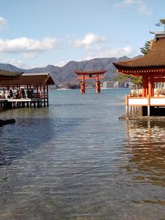 �肢�t�̔N���N�n�͖��d�s�v�c�̃T���l�C���摜