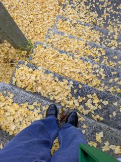 ���X���؂ɂ���B�̃T���l�C���摜