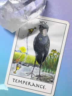 �^�C�~���O��҂ׂ����A�����ׂ����̃T���l�C���摜