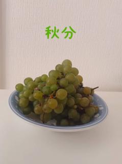 �H���Ƃ��ފ݂̒����̂��b���B�̃T���l�C���摜