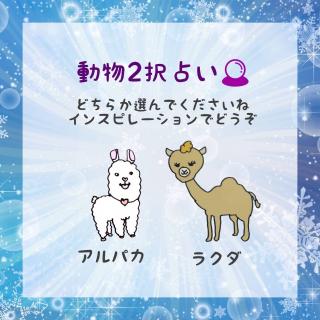 12���㔼2��肢�I�A�h�o�C�X���ǂ������̃T���l�C���摜