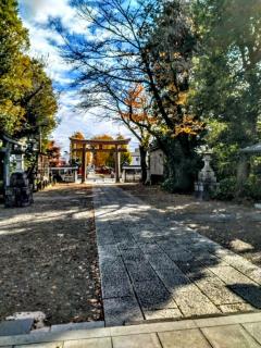 ����ς�g�����߂͑厖�̃T���l�C���摜