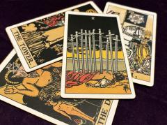 �y�^���b�g�z�o��ƍ���J�[�h�H�̃T���l�C���摜