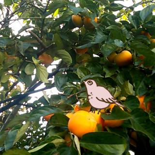 �Ԃ̂悤�Ɏ���̃T���l�C���摜