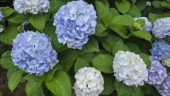 ����l����̃��b�Z�[�W���󂯎����@�̃T���l�C���摜