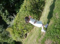 �q�ǂ��ɂ����錾�t�̃T���l�C���摜