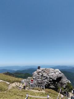 �p���[�X�|�b�g�A�̃T���l�C���摜