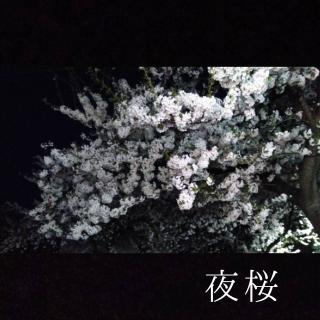 �[�ׂ͖�������ɍs���܂����̃T���l�C���摜