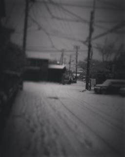 �ЊQ���~�p�p���̃T���l�C���摜