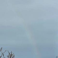 �܂��ɓ�����̃T���l�C���摜