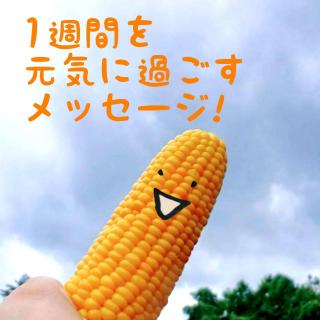 1�T�Ԃ����C�ɉ߂������b�Z�[�W�I�̃T���l�C���摜