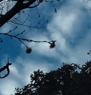 ����ɂ��镉�̃T���l�C���摜