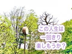 �V���N���j�V�e�BR4.4.15���̂̃T���l�C���摜